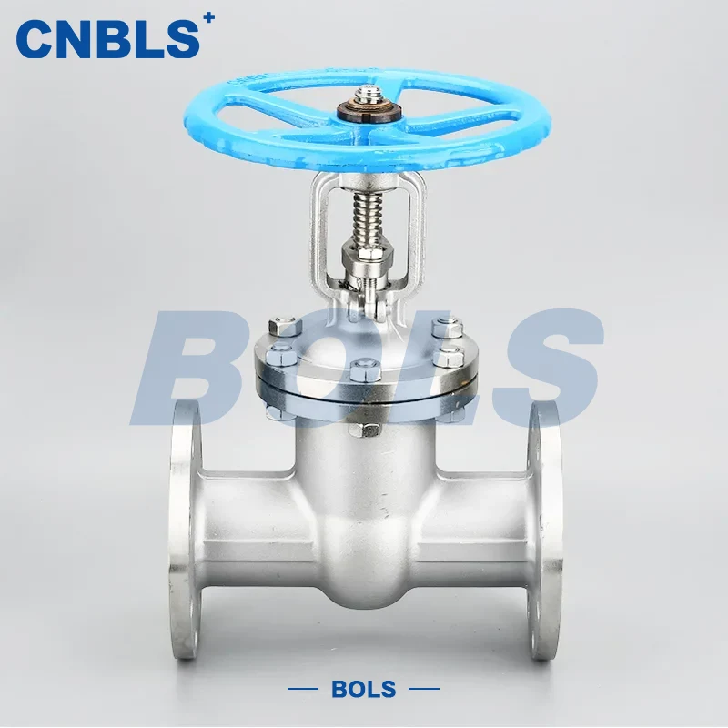 Injap Pintu Keluli Tahan Karat